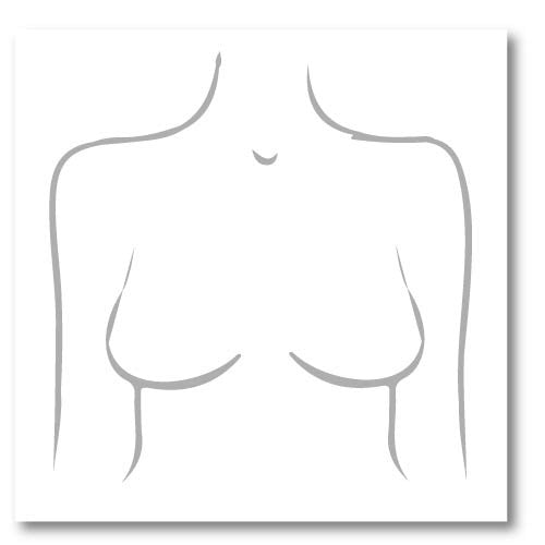 Breast Shape Dictionary, Blog