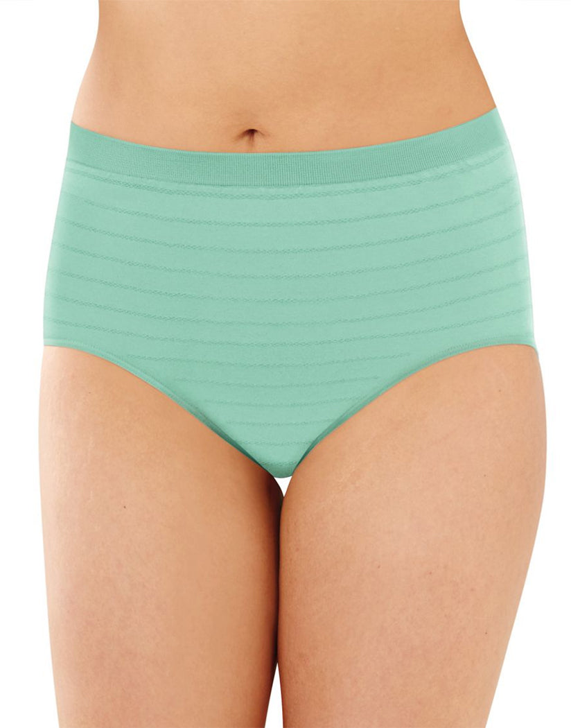 Barely There by Bali Comfort Revolution Microfiber Seamless Brief Â— 5 –  Atlantic Hosiery